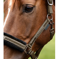 Caveção Waldhausen Elegant Castanho verde