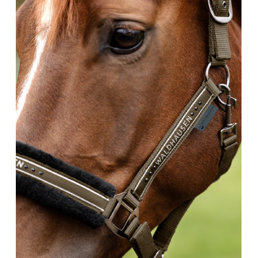 Caveção Waldhausen Elegant Castanho verde Caveção Waldhausen Elegant Castanho verde