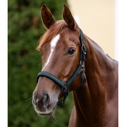 Caveção Waldhausen Athletic Azul petróleo