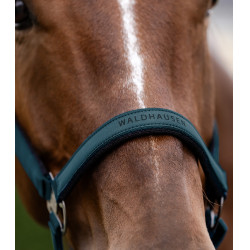 Caveção Waldhausen Athletic Azul petróleo