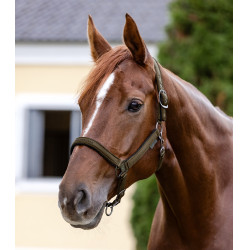 Caveção Waldhausen Athletic Castanho verde