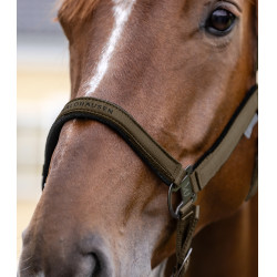 Caveção Waldhausen Athletic Castanho verde