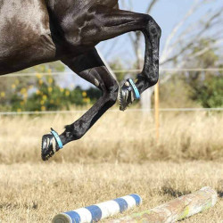 Hipossandália Scoot Boots Hipossandália Scoot Boots