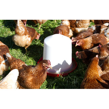 Bebedouro de plástico Kerbl Hobbyfarming Branco / vermelho