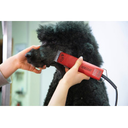 Tosquiadeira FAV5 Aesculap Vermelho