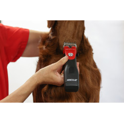 Tosquiadeira sem fio Favorita CLi Aesculap Vermelho