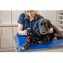 Tosquiadeira sem fio Favorita CLi Aesculap Vermelho