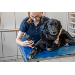 Tosquiadeira sem fio Favorita CLi Aesculap Vermelho