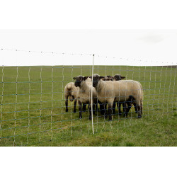 OviNet Maxi AKO Branco / azul