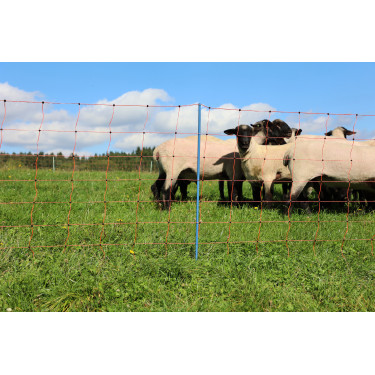 OviNet Premium AKO Laranja