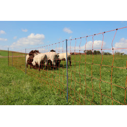 OviNet Premium AKO Laranja