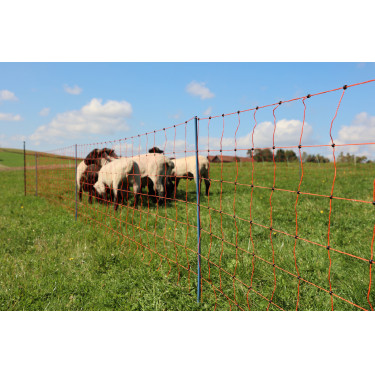 OviNet Premium AKO Laranja