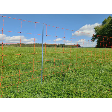 OviNet Premium AKO Laranja