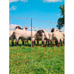 OviNet Premium AKO Laranja