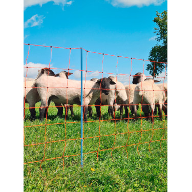 OviNet Premium AKO Laranja