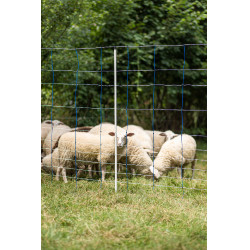 TitanNet 145 AKO Azul / branco