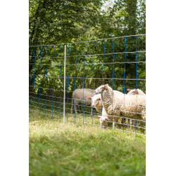 TitanNet 145 AKO Azul / branco