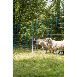 TitanNet 145 AKO Azul / branco