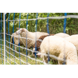 TitanNet 145 AKO Azul / branco