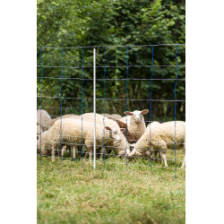 TitanNet 145 AKO Azul / branco