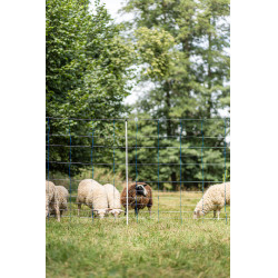 TitanNet 145 AKO Azul / branco