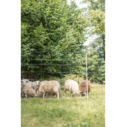 TitanNet 145 AKO Azul / branco