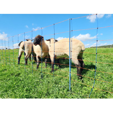 TitanNet Premium AKO Azul / laranja TitanNet Premium AKO Azul / laranja