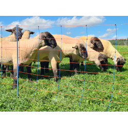 TitanNet Premium AKO Azul / laranja TitanNet Premium AKO Azul / laranja