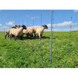 TitanNet Premium AKO Azul / laranja TitanNet Premium AKO Azul / laranja