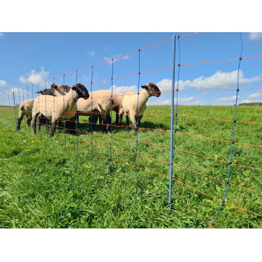 TitanNet Premium AKO Azul / laranja TitanNet Premium AKO Azul / laranja