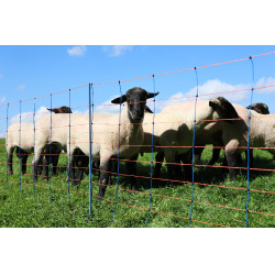 TitanNet Premium AKO Azul / laranja TitanNet Premium AKO Azul / laranja