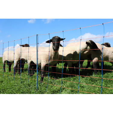 TitanNet Premium AKO Azul / laranja TitanNet Premium AKO Azul / laranja