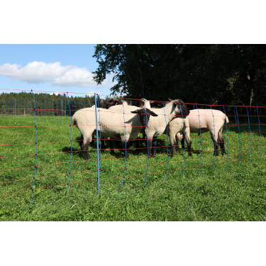 TitanNet Premium AKO Azul / laranja TitanNet Premium AKO Azul / laranja