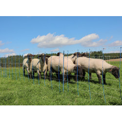 TitanNet Premium Plus AKO Azul / branco