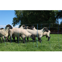 TitanNet Premium Plus AKO Azul / branco