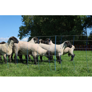 TitanNet Premium Plus AKO Azul / branco