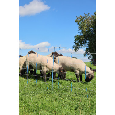 TitanNet Premium Plus AKO Azul / branco