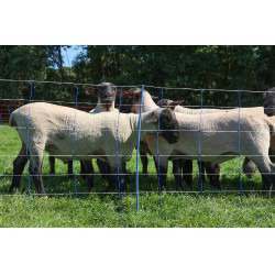 TitanNet Premium Plus AKO Azul / branco