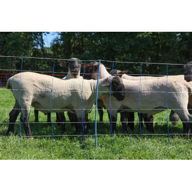 TitanNet Premium Plus AKO Azul / branco