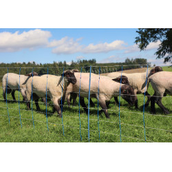 TitanNet Premium Plus AKO Azul / branco