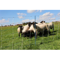 TitanNet Premium Vario AKO Branco / azul