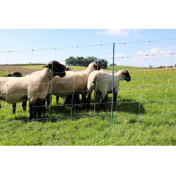 TitanNet Premium Vario AKO Branco / azul TitanNet Premium Vario AKO Branco / azul