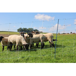 TitanNet Premium Vario AKO Branco / azul TitanNet Premium Vario AKO Branco / azul