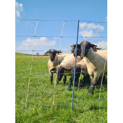 TitanNet Premium Vario AKO Branco / azul TitanNet Premium Vario AKO Branco / azul