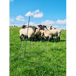 TitanNet Premium Vario AKO Branco / azul TitanNet Premium Vario AKO Branco / azul