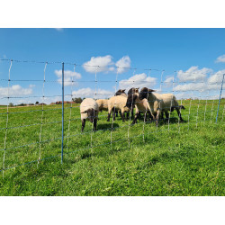 TitanNet Premium Vario AKO Branco / azul TitanNet Premium Vario AKO Branco / azul