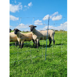 TitanNet Premium Vario AKO Branco / azul TitanNet Premium Vario AKO Branco / azul