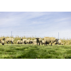 TitanNet Premium XBraid AKO Branco / azul TitanNet Premium XBraid AKO Branco / azul