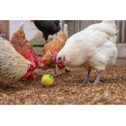 Bola snack Kerbl Hobbyfarming Amarelo