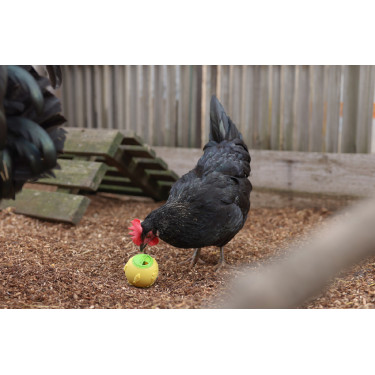 Bola snack Kerbl Hobbyfarming Amarelo